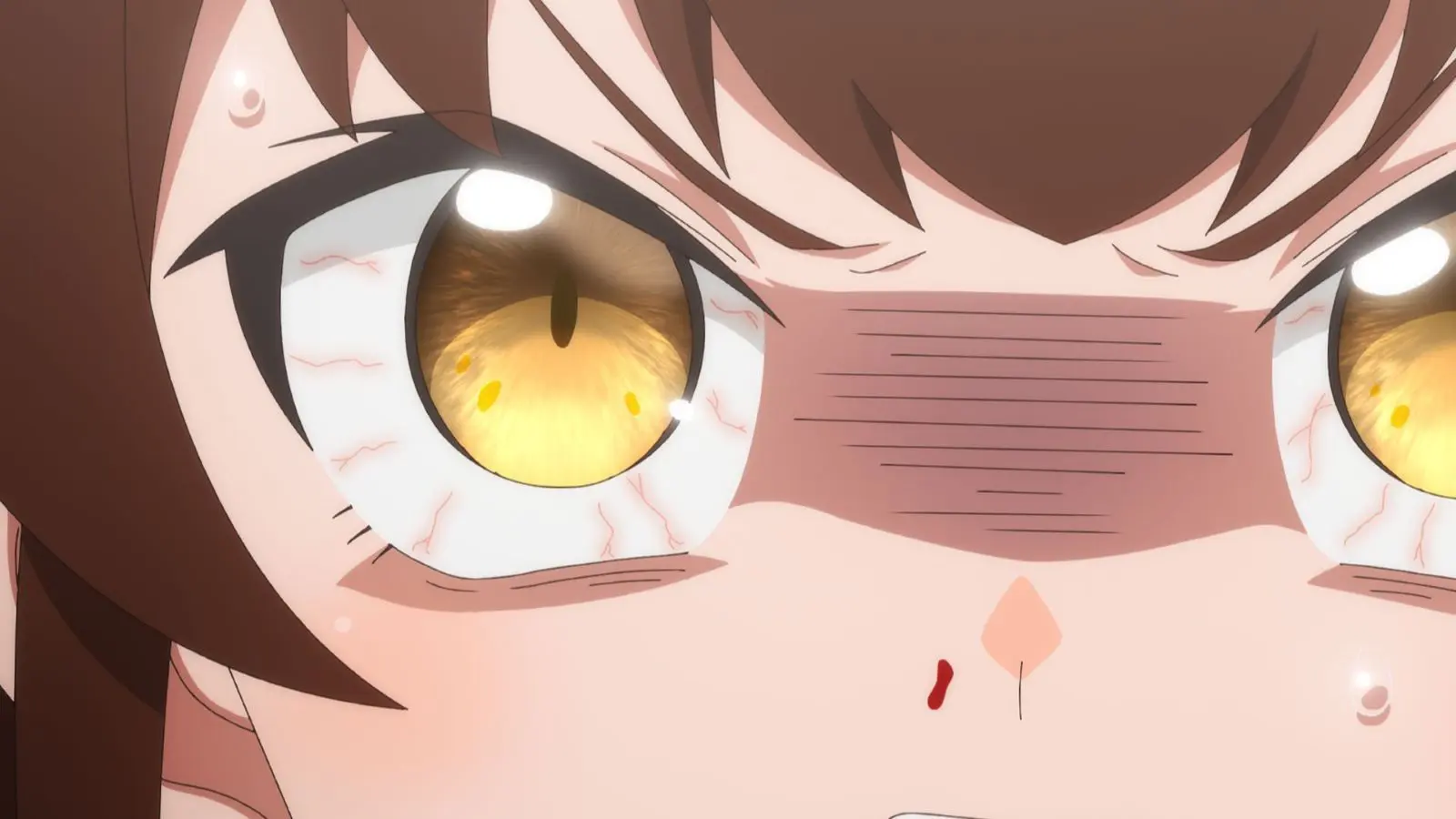 アニメ『ある魔女が死ぬまで』の画像