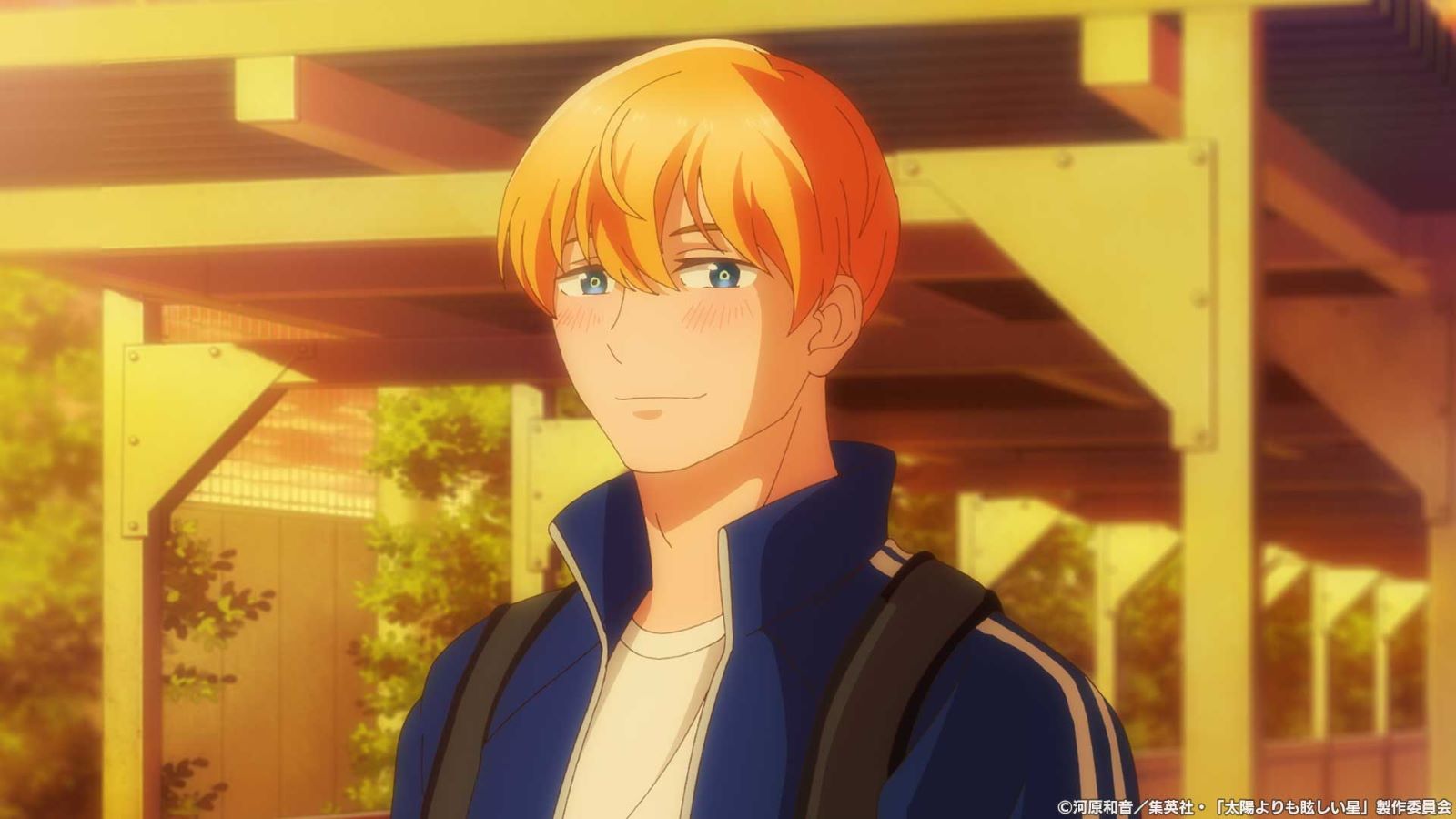 アニメ『太陽よりも眩しい星』の画像