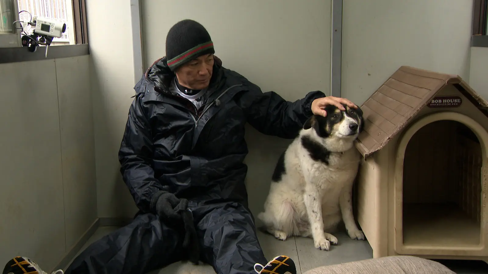 長嶋一茂の写真